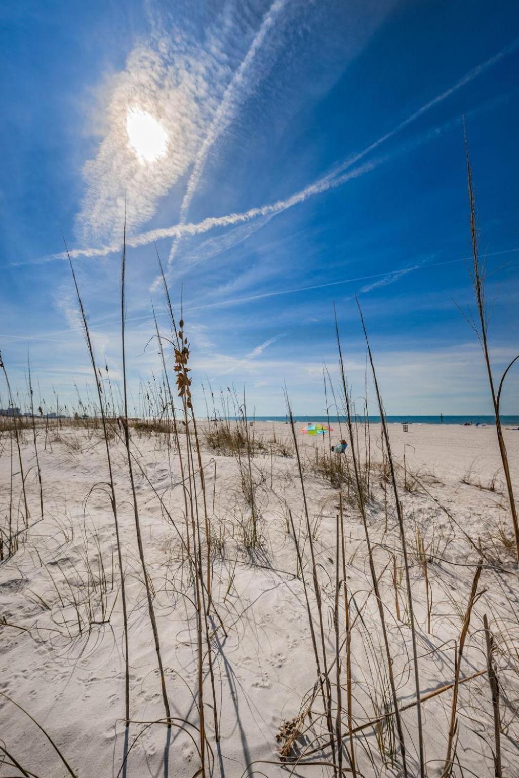 Fins Up In Clearwater Beach Exterior foto